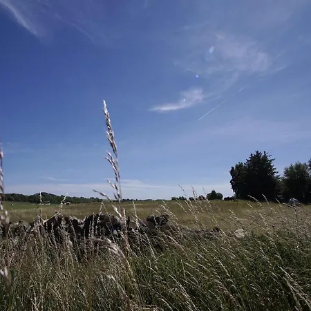 Apartmán Viel Und Idyllische Umgebung - Honigtopf Haeuschen Kormorannnest Sagard